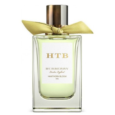 Burberry London England Garden Rose Edp 150ml Unisex Tester Parfüm